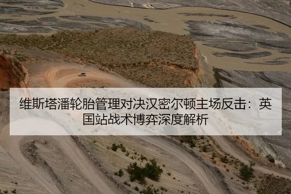 维斯塔潘轮胎管理对决汉密尔顿主场反击：英国站战术博弈深度解析