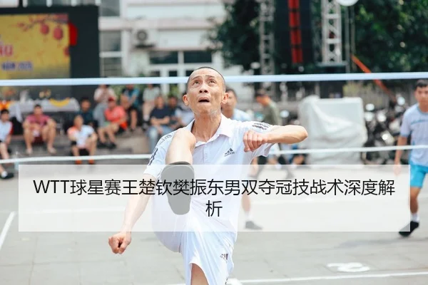 WTT球星赛王楚钦樊振东男双夺冠技战术深度解析