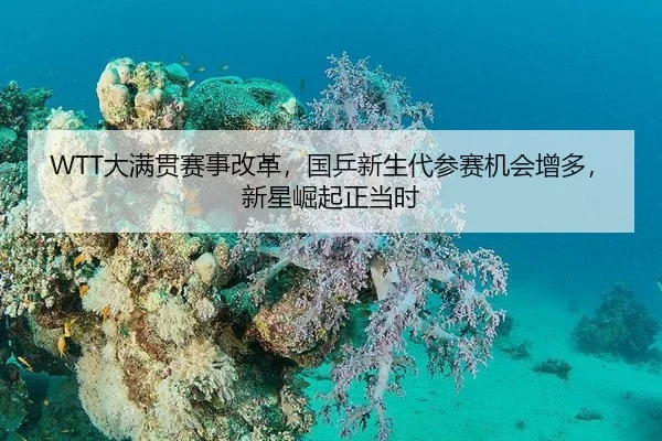WTT大满贯赛事改革，国乒新生代参赛机会增多，新星崛起正当时