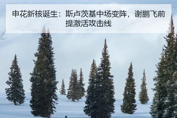 shen-hua-xin-he-dan-sheng-si-lu-ci-ji-zhong-chang-bian-zhen-xie-peng-fei-qian-ti-ji-huo-gong-ji-xian-3-371.jpg