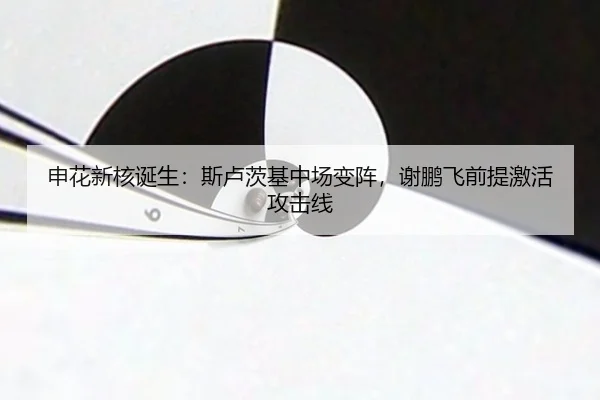 申花新核诞生：斯卢茨基中场变阵，谢鹏飞前提激活攻击线