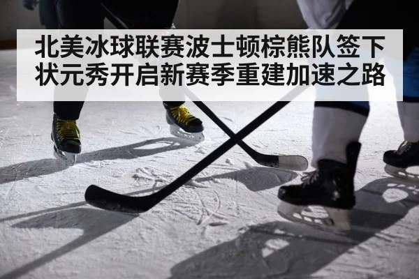 北美冰球联赛波士顿棕熊队签下状元秀开启新赛季重建加速之路
